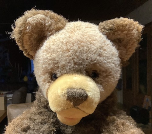 Steiff molly bär - steiff,