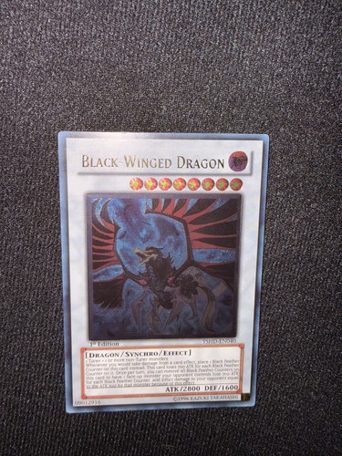 Black winged dragon edition - winged,
