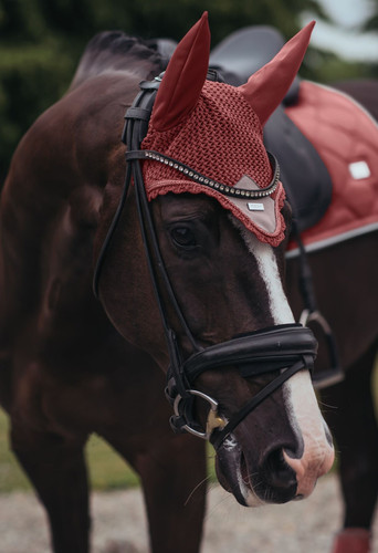 Equestrian stockholm bernstein - equestrian,
