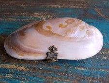 Permuttmuschel Geldbörse