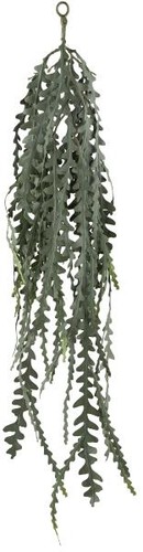 Artplants deko blattkaktus - artplants,