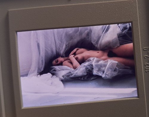 Aktfoto dia diapositiv - diapositiv, erotik