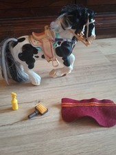 grand champion pferd