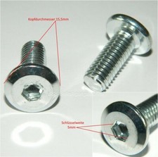 10 Stück  Flachkopfschrauben