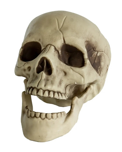 Totenkopf mit beweglichem