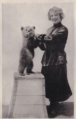 Zirkus schneider foto alt - zirkus,