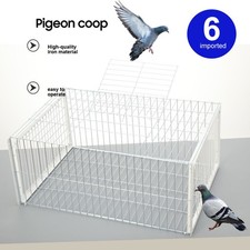 Taubenkäfig Taubenfalle