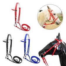 Pferdezaumzeug mit Zügel