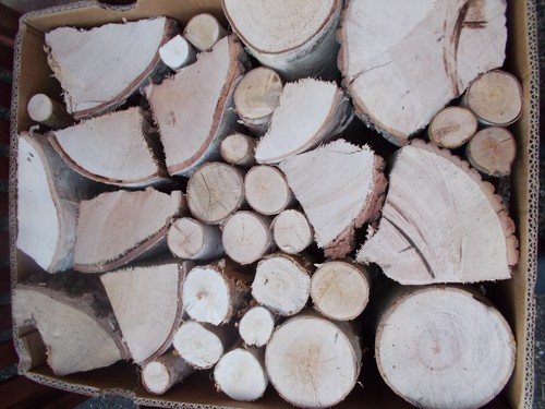 Brennholz kaminholz feuerholz - brennholz,
