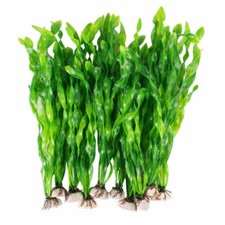 10pc aquariumpflanzen - 10pc,