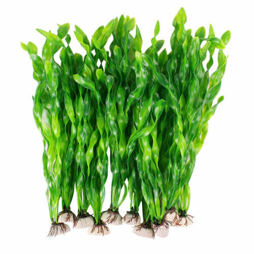 10pc aquariumpflanzen - 10pc,