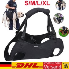 Hundetransporter älterer