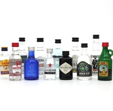 Großes GIN TASTING SET -