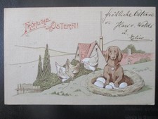 (76176) Ostern - Prägekarte, Hund am Eiernest, Hühner 1906