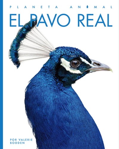 Pavo real kate riggs - by,