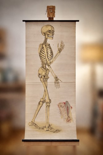 Antike anatomische