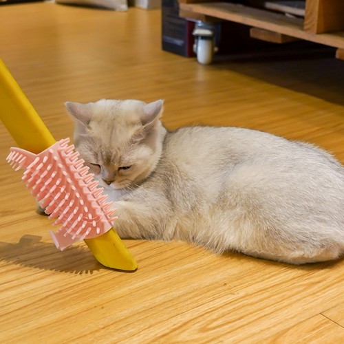 Katzenpflegebürste