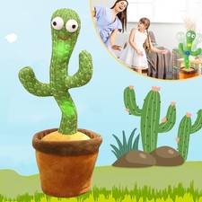 Tanzender Kaktus, Singender