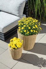 2er Set Blumentopf Rattan