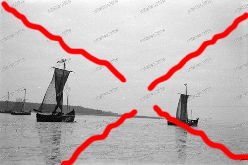 Negativ-Rossitten-Rybatschi-Os