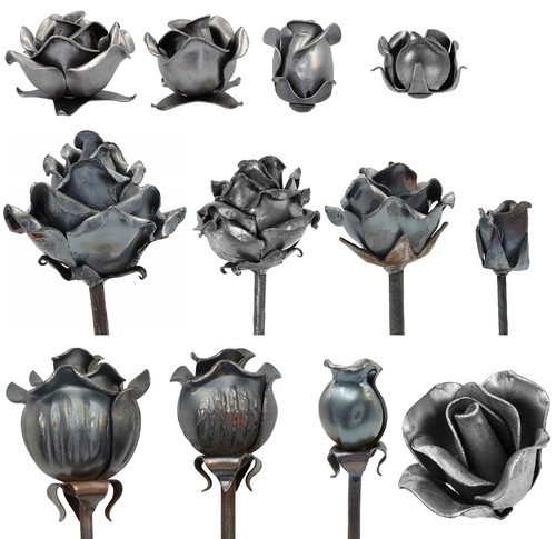 Zierblumen blumenmotive - zierblumen,