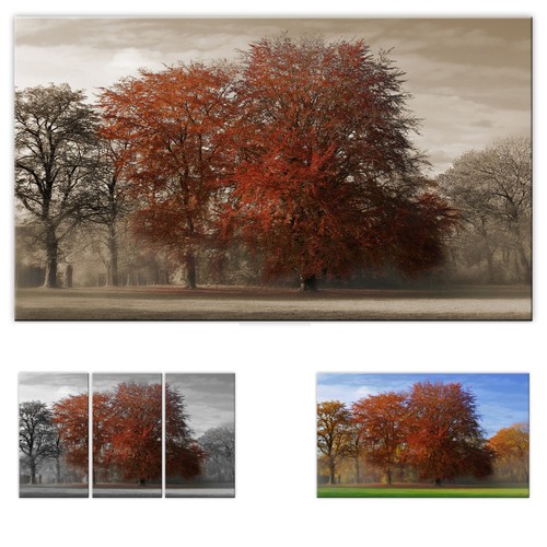 Leinwandbild wandbild bild - leinwandbild,