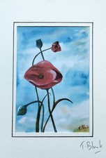 Kunstdruck mohnblumen - -, mohnblumen.