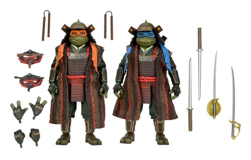 Teenage mutant ninja turtles - ninja,