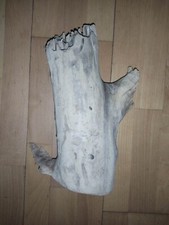 Schwemmholz Treibholz dicker Stamm ca. 40cm hoch - Lampe Skulptur Terrarium Deko