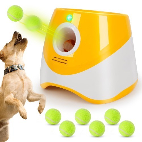 Hunde ballwurfmaschine mit - hunde,