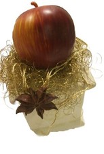 Weihnachten Dekoration Apfel 4