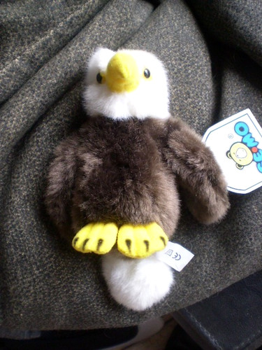 Baby adler seeadler - seeadler, x