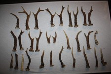 Konvolut 30 St. Rehstangen