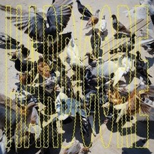 Salo - Hardcore (Vinyl LP -
