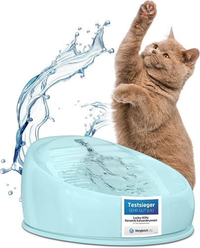Lucky kitty trinkbrunnen - trinkbrunnen, für