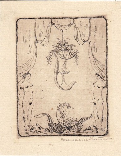 Exlibris bookplate radierung - exlibris,