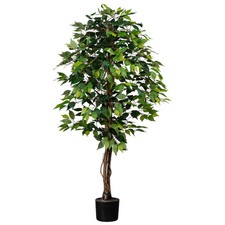 Künstliche birkenfeige ficus - birkenfeige, 'ficus