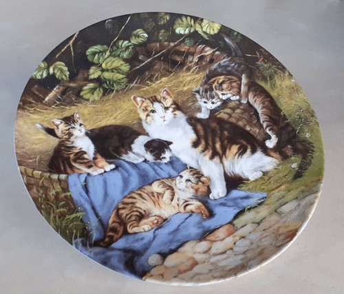 Seltmann weiden katzen kitten - weiden,