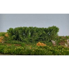 Hecke klein Sommer ca. 4x15 cm