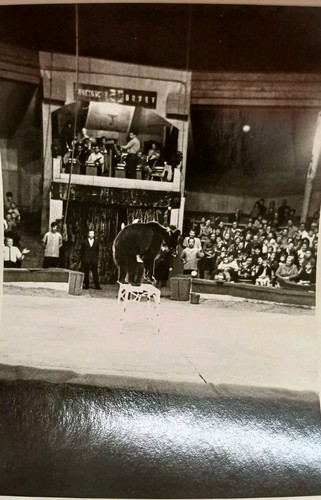 Zirkus gastspiel leipzig - zirkus,