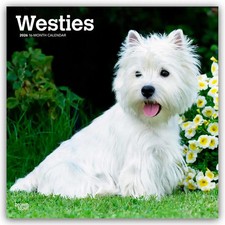 West Highland White Terriers -