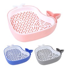 Katzengras-Pflanzkasten, Pflanzenzucht-Set, hydroponischer, erdfreier Pflanzkast