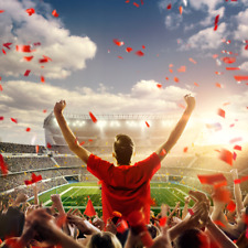 BL - FC Bayern München : FSV Mainz am 13.12  , Tickets Gerade + Stadtrundfahrt