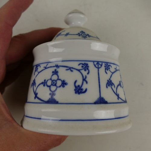 Winterling indisch blau - indisch,