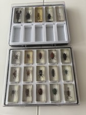 Mini Biester Sammlung Insekten 20 Stück Inkl. Box