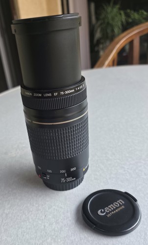 Canon 300mm 5 - ef, f4.0-5.6