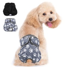 Schutzhöschen hund hündin - schutzhöschen,