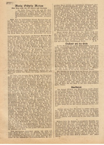 Maria sibylla merian artikel - maria,