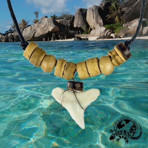 415 shark tooth - shark,
