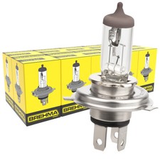 10x BREHMA H4 Lampen 12V